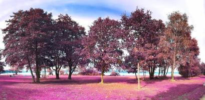schöne und farbenfrohe Fantasielandschaft in einem asiatischen lila Infrarot-Stil foto