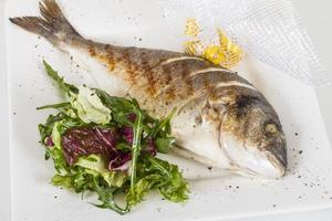 Dorada-Fisch mit Salat auf dem weißen Teller. Studioaufnahme foto