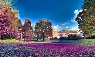 schöne und farbenfrohe Fantasielandschaft in einem asiatischen lila Infrarot-Stil foto