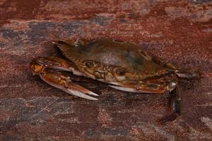 rohe Krabben - bereit zum Kochen foto