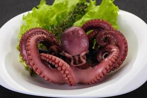 gekochter Oktopus mit Kräutern foto