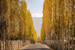 Straße in Richtung Khaplu im Herbst im Ghowari-Dorf, Pakistan foto