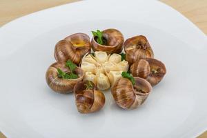 Schnecken auf dem Teller und Holzhintergrund foto