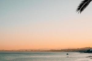 Silhouette von Palmenblatt und Strand foto