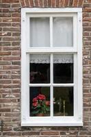 Fenster mit roten Blumen foto