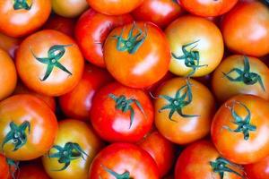 roter Tomatenhintergrund foto