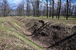 Frühlingslandschaft mit einer tiefen Schlucht voller Laub umgeben von vielen Bäumen am Waldrand neben dem Dorf foto