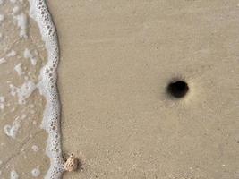 direkt über der Meereswelle, die zum Krabbenloch am Sandstrand rollt, Naturtapete foto