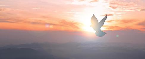 Tauben fliegen in den Himmel. Christen glauben an den Heiligen Geist. silhouette anbetung zu gott mit liebe glauben, geist und jesus christus. christlich betet für frieden. Gottesdienstbegriff im Christentum. foto