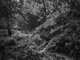 Wandern an einem Fluss in Westfalen foto