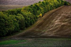 Bild einer Landschaft mit fruchtbarem Boden aus der Republik Moldau. schwarzes Ackerland gut zur Aussaat. ökologische Landwirtschaft. foto