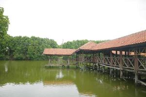 Holzgebäude mitten in einem Sumpf mit trübem grünem Wasser foto