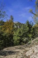 Wald und Himmel im Herbst in Navarra