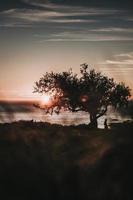 Silhouette der Person, die durch Baum steht foto