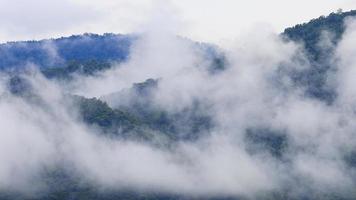 Nebel fließt durch das Gebirgstal des Khaoyai-Nationalparks im Morgenlicht während der Regenzeit, Thailand foto