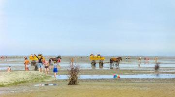 cuxhaven niedersachsen deutschland 2010 seestück strand wattwandern an der nordseeküste deutschland. foto