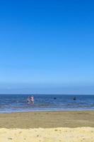 cuxhaven niedersachsen deutschland 2010 seestück strand wattwandern an der nordseeküste deutschland. foto