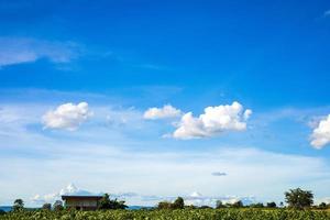 schöner hellblauer himmel mit weißen wolken, naturhintergrundkonzept. foto