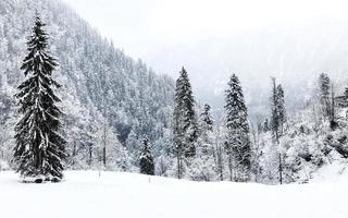 hallstatt winter schnee berglandschaft der kiefernwald im hochlandtal führt an verschneiten tagen zum alten salzbergwerk von hallstatt, österreich foto