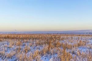 Winterlandschaft mit schneebedecktem Feld mit trockenen Pflanzen und blauem Himmel foto