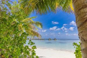 ruhige Strandszene. sonnige exotische tropische Strandlandschaft für Hintergrund oder Tapete. schönes sommerferienferienkonzept. luxusreiseziel idyllische naturlandschaft mit palmenblatt foto