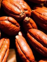 größere Mengen Kakaobohnen foto