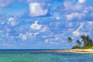 tropischer mexikanischer Strand klares türkisfarbenes Wasser Playa del Carmen Mexiko. foto