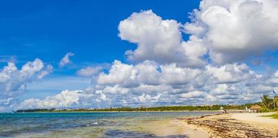 tropisch mexikanischer strand wasser algen sargazo playa del carmen mexiko. foto