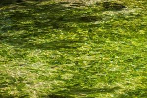 schöne cenote höhle mit fluss türkisblauem wasser textur mexiko. foto