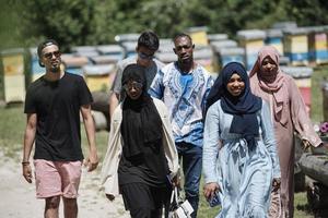 volksgruppe, die die lokale honigproduktionsfarm besucht foto