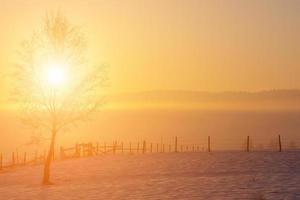 schöne Winterlandschaft foto