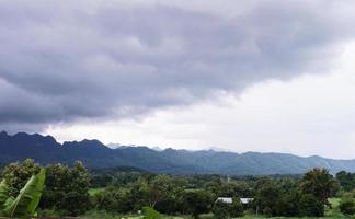Grünes Reisfeld mit Berghintergrund unter bewölktem Himmel nach Regen in der Regenzeit, Reisfeld mit Panoramablick. foto