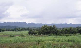 Grünes Reisfeld mit Berghintergrund unter bewölktem Himmel nach Regen in der Regenzeit, Reisfeld mit Panoramablick. foto