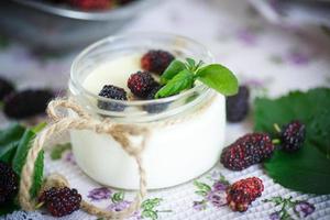 Joghurt mit Maulbeere