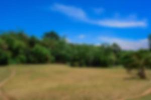 verwischen Sie den Parkgartenbaum im Naturhintergrund, undeutliches Grün im Sommerhintergrund foto