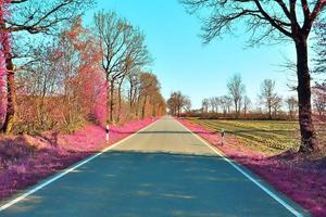 schöne lila Infrarotlandschaft in hoher Auflösung foto