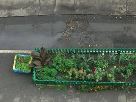 Blumenbeet auf der Straße in der Nähe des Hauses foto