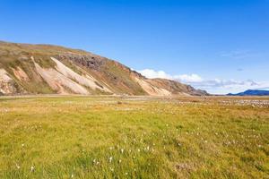 grüne wiese in landmannalaugar in island foto