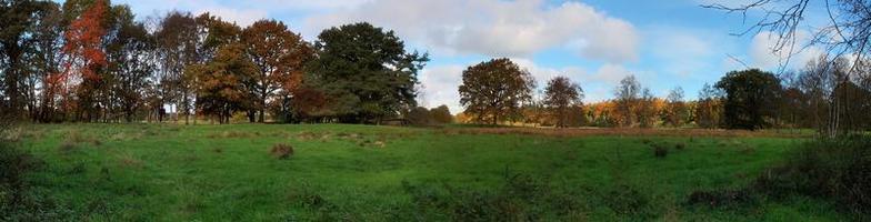 Schönes hochauflösendes Panorama einer nordeuropäischen Landschaft mit Feldern und grünem Gras foto