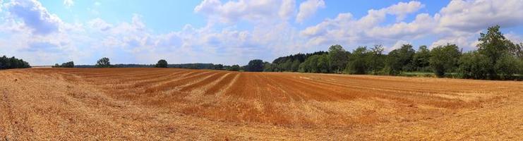 Schönes hochauflösendes Panorama einer nordeuropäischen Landschaft mit Feldern und grünem Gras foto