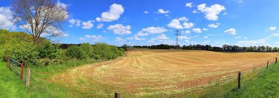 Schönes hochauflösendes Panorama einer nordeuropäischen Landschaft mit Feldern und grünem Gras foto