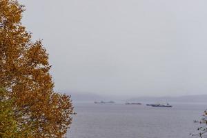 Herbstbaum auf dem Hintergrund der Meereslandschaft foto