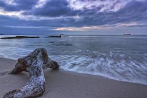 Ast am Strand bei Sonnenaufgang mit Wellen überlaufen foto