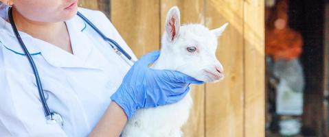 junge tierärztin mit stethoskop, das ziegenkind auf ranchhintergrund hält und untersucht. Junge Zicklein in tierärztlichen Händen zur Untersuchung in einer natürlichen Öko-Farm. moderne Tierhaltung, ökologische Landwirtschaft. foto