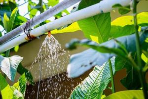 Gartensprinkler Wasserbewässerungssystem foto