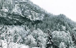 nahaufnahme kiefernwald tal traumlandschaft hallstatt winter schnee berglandschaft führt zum alten salzbergwerk von hallstatt, österreich foto