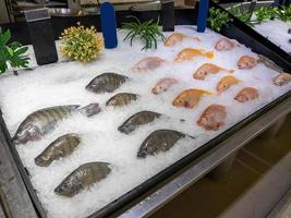 Meeresfrüchte auf Eis auf dem Fischmarkt. foto