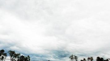 baum wolken sonne scheint im himmel natur hintergrund foto