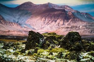 Bemoostes Lavafeld in Island foto