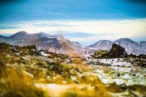 Bemoostes Lavafeld in Island foto